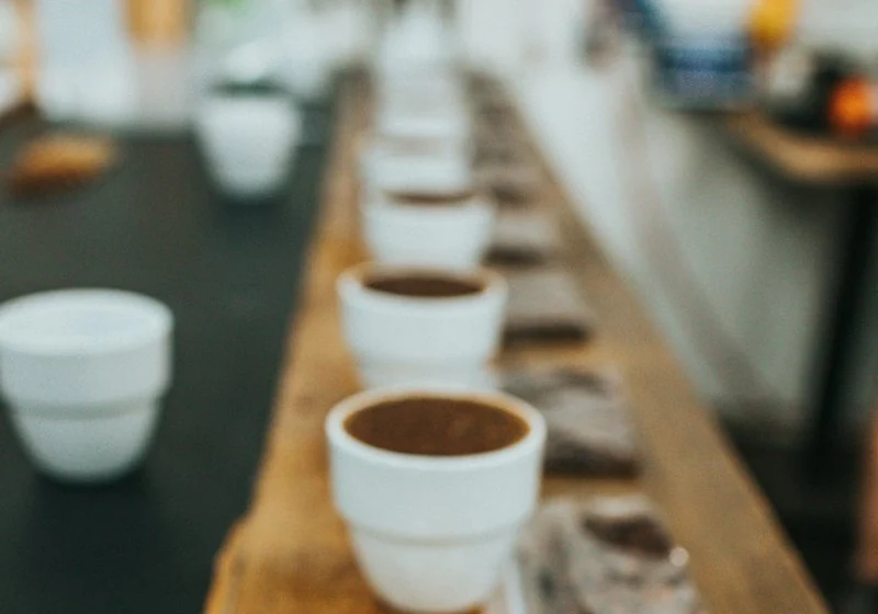Cupping bowls of coffee lined up in the lab